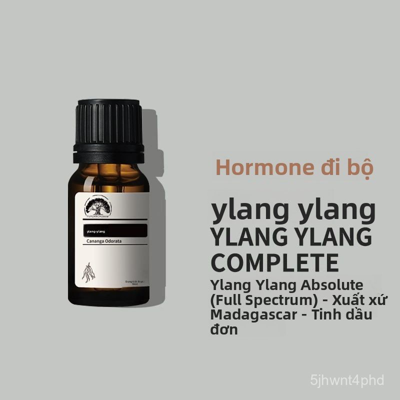 Tinh dầu ylang-ylang nguyên chất chiết xuất từ thực vật, tinh dầu ylang-ylang đơn dùng cho liệu pháp