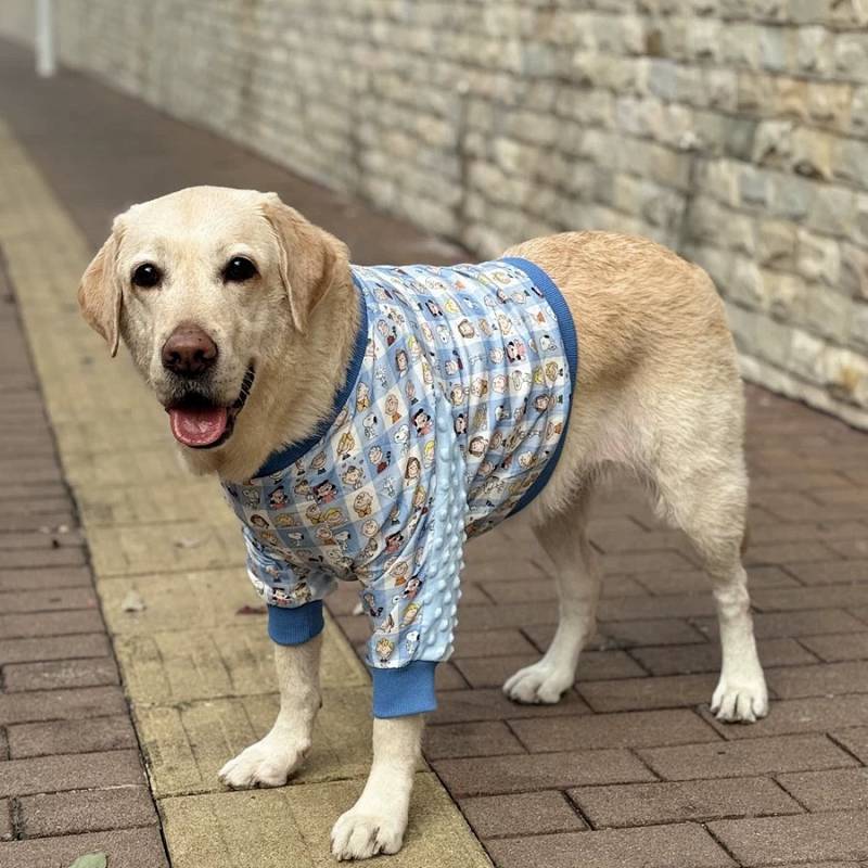 Dog Big Dog Clothes Labrador Border Collie Golden Retriever Short and Thin PET Joint Elbow Pad Knee 