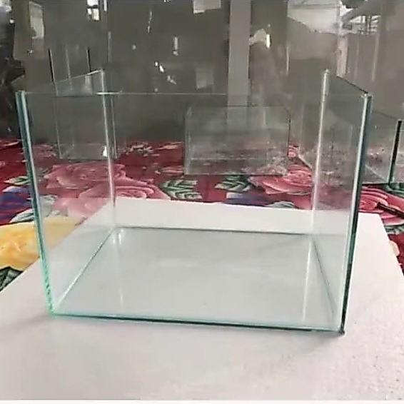 Bể cá cảnh 40x30x30 siêu trong, giao hàng toàn quốc