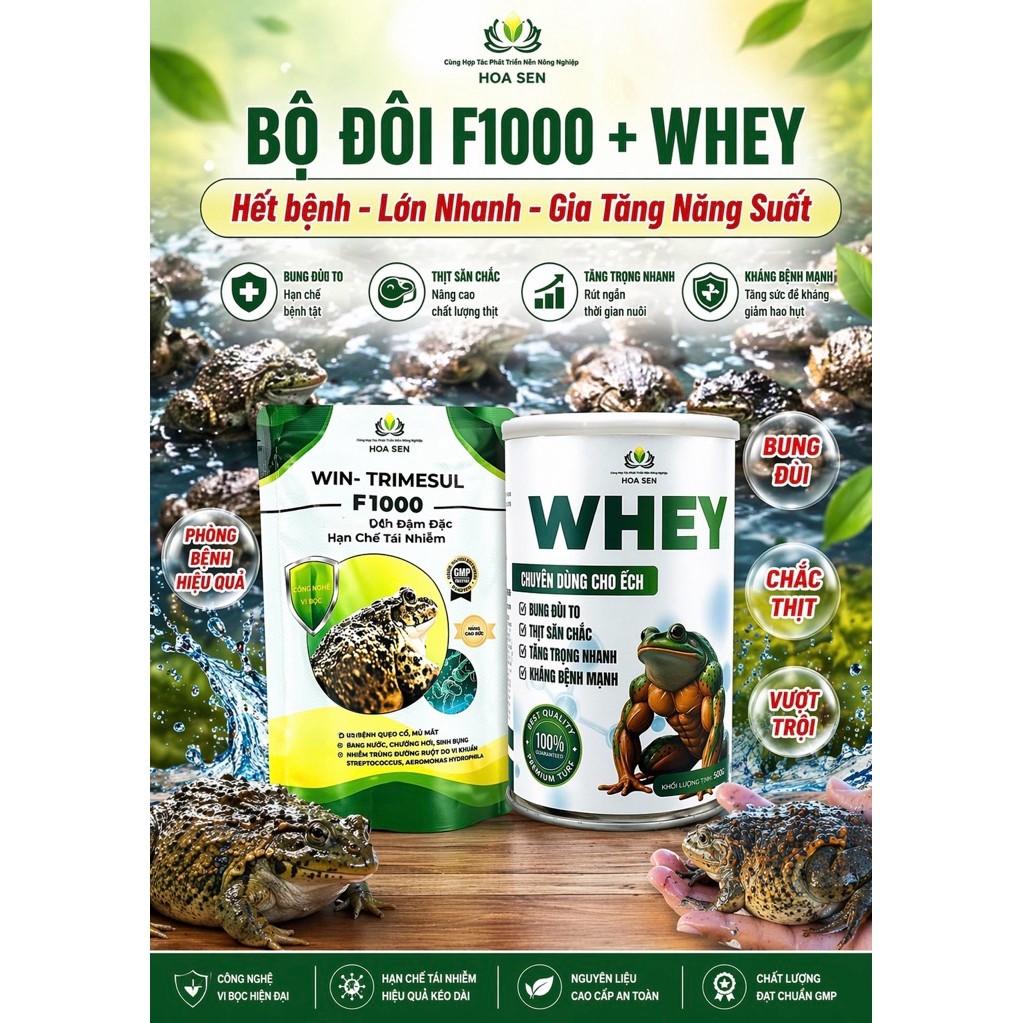 BỘ ĐÔI F1000 + WHEY CHO ẾCH  Giải pháp toàn diện: Hết bệnh – Lớn nhanh – Tăng năng suất
