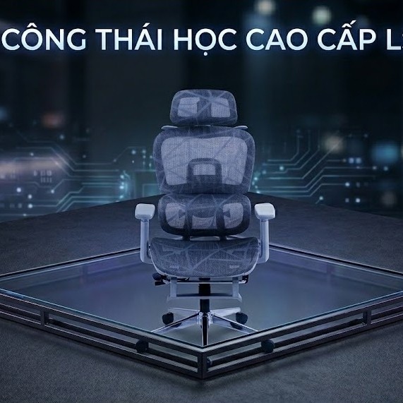 Ghế Công Thái Học Cao Cấp LS900