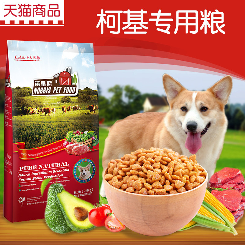 Corgi Thức ăn đặc biệt cho chó Corgi Thức ăn cho chó Corgi Thức ăn cho chó Corgi Thức ăn cho chó Con
