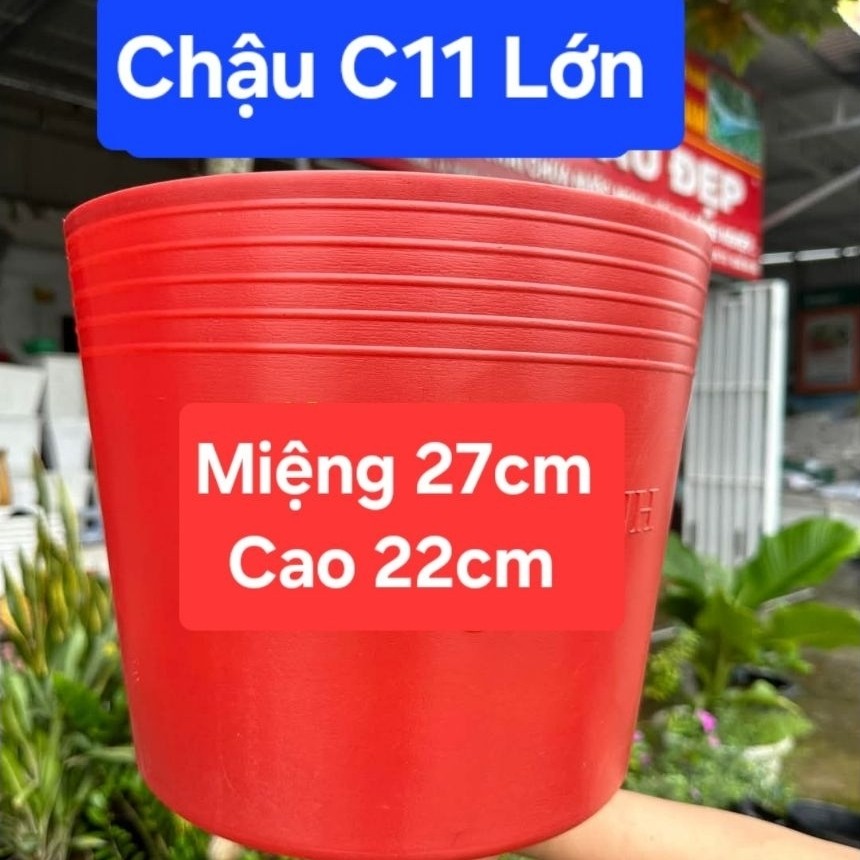 Combo Sỉ 100 Chậu C9 - C10 - C11 - C12 - C13 Đỏ , Chậu Nhựa Trồng Hoa,  Chậu Trồng Vạn Thọ