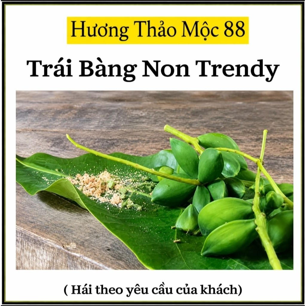 🌿 Mukbang Trái Bàng Non Siêu Trendy