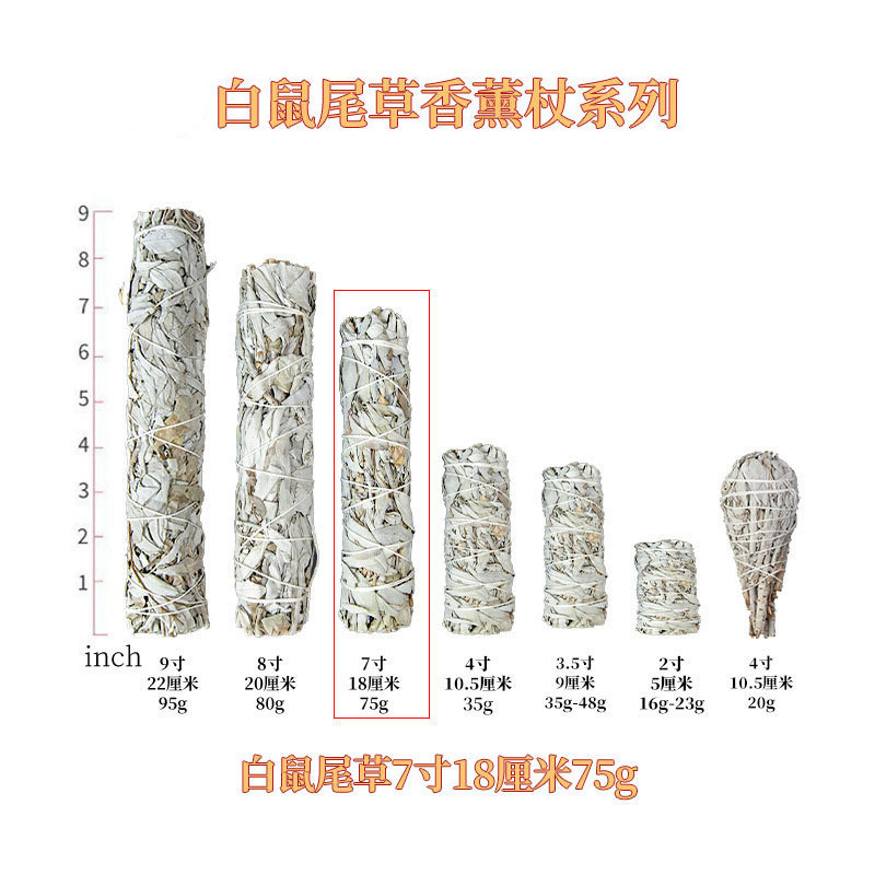 Hoa Kỳ California White Sage Cedar Blue Sage Peru Holy Wood Aromatherapy Stick White Sage FX7G
