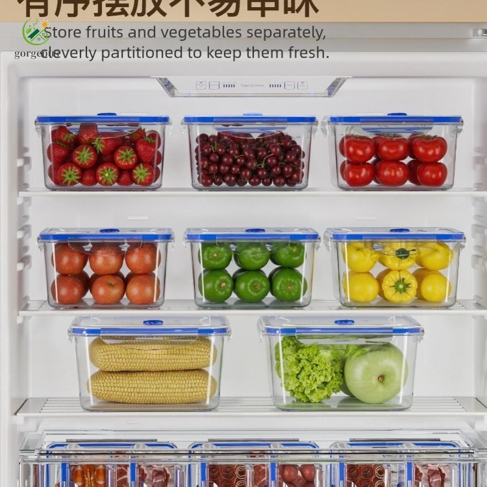 [FUXIN]Food Storage Containers with Timer Airtight Fridge Organizer for Vegetables