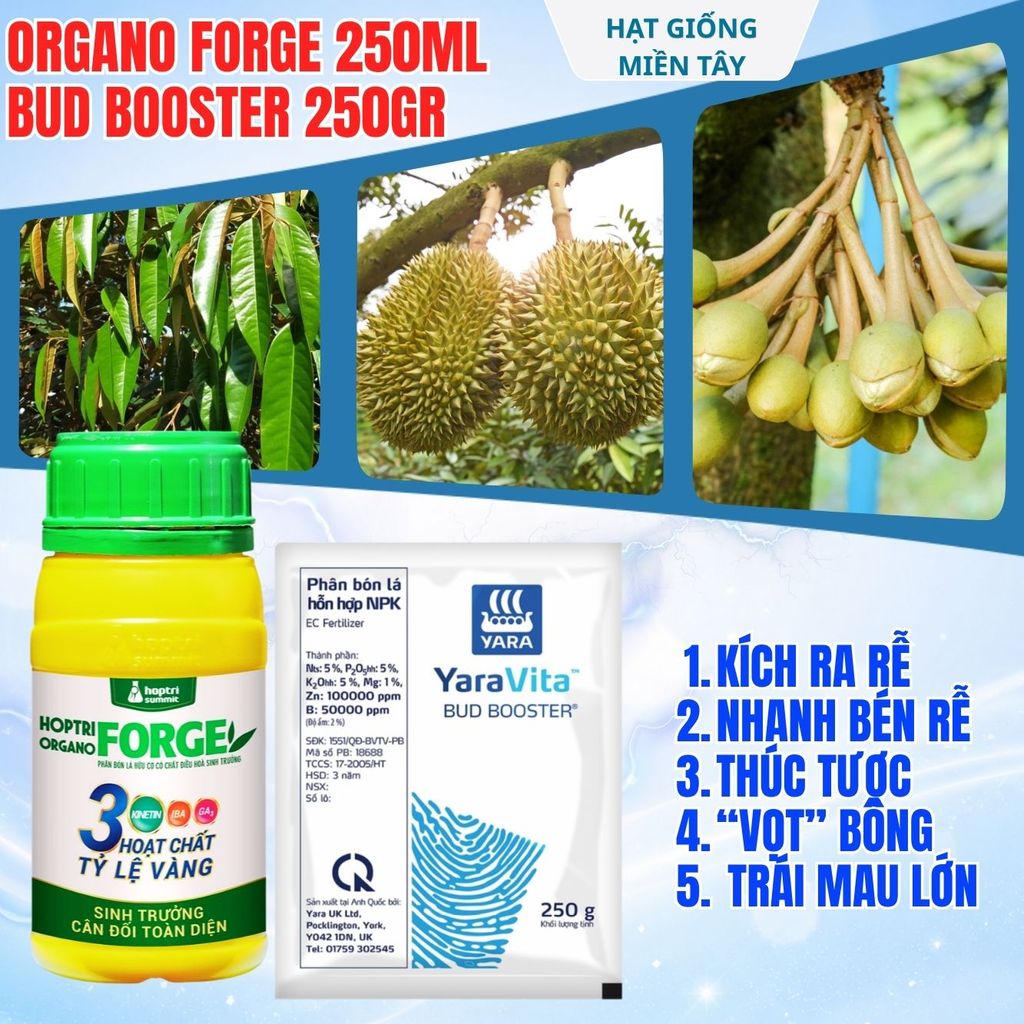 BỘ ĐÔI Hợp Trí Organo Forge 250ml + Bud Booster 250gr CTY HỢP TRÍ