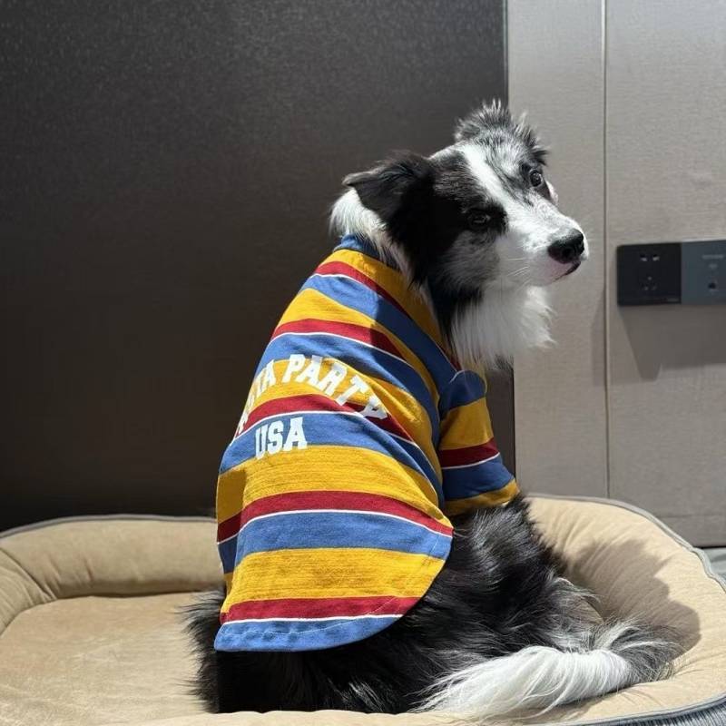 Big Dog Clothes Sweatshirt Three Colors Striped Shirt Cute English Letters Printed Handsome Medium L