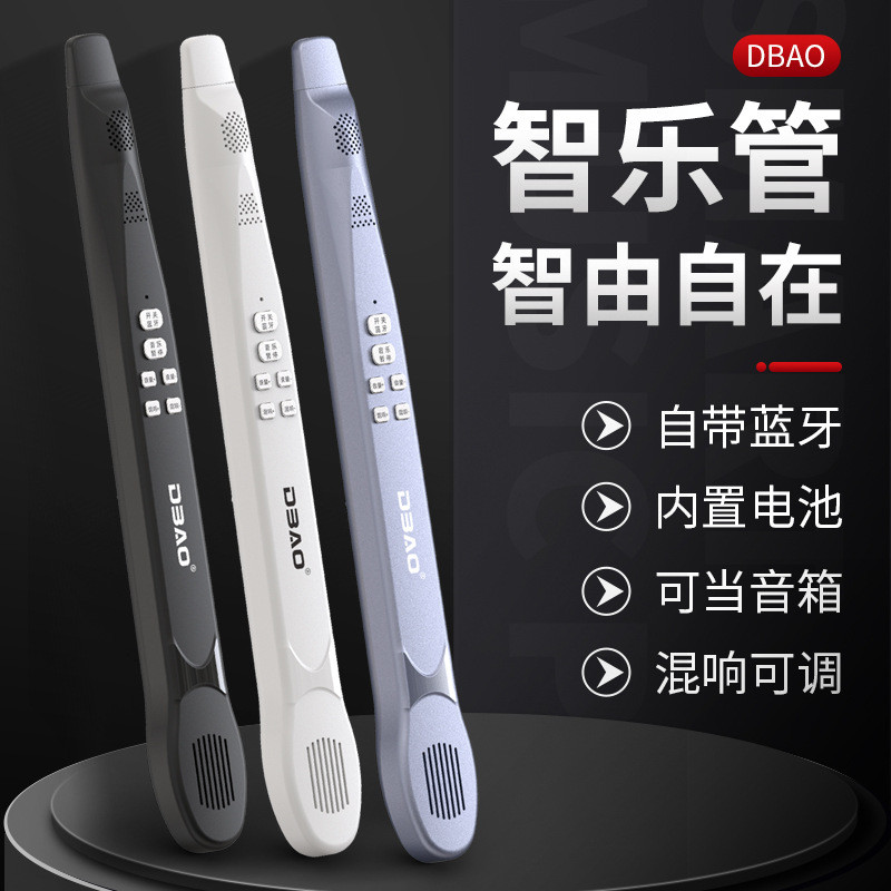 D DBAO Zhile Wind Music Wind Music Phiên bản gió có thể được sử dụng làm loa có thể hát và chơi Ống 