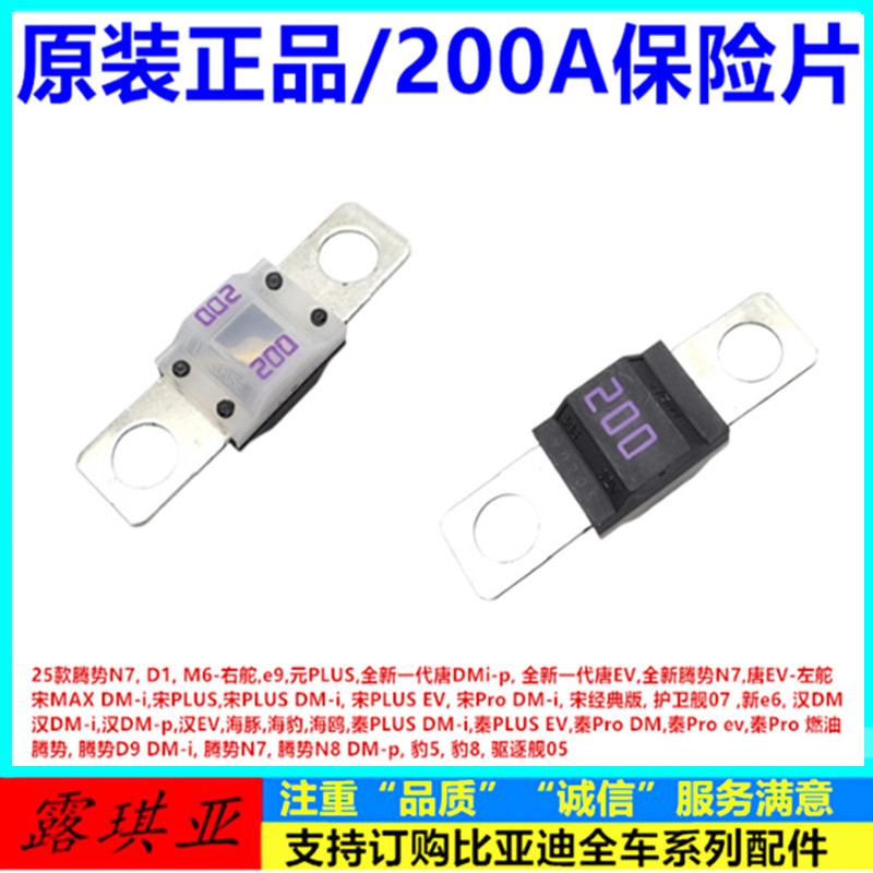 Thích hợp cho Biadiyuan PLUS Song MAX Song Cổ Điển Trung Quốc DMipEV Leopard 5 Leopard 8 Mới e6 200A