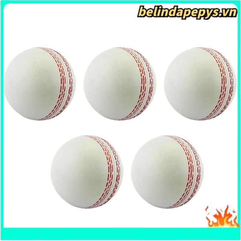 Môn cricket thể thao, môn cricket tập luyện, môn cricket phục hồi gió, bóng giải nén đàn hồi