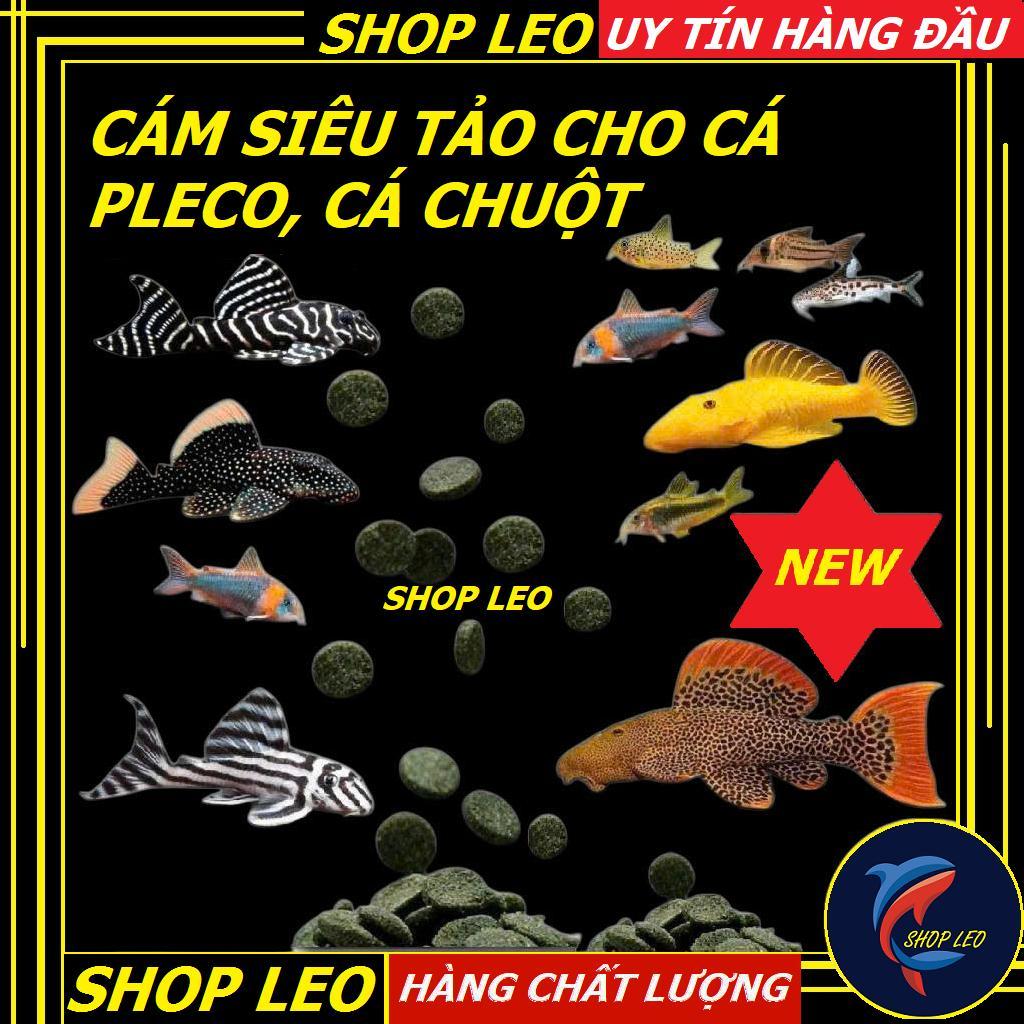 THỨC ĂN CHO PLECO, Cá Chuột, Cám Pleco siêu tảo, cám cho cá tầng đáy, cám cá chuột-Thức ăn cá tầng đ