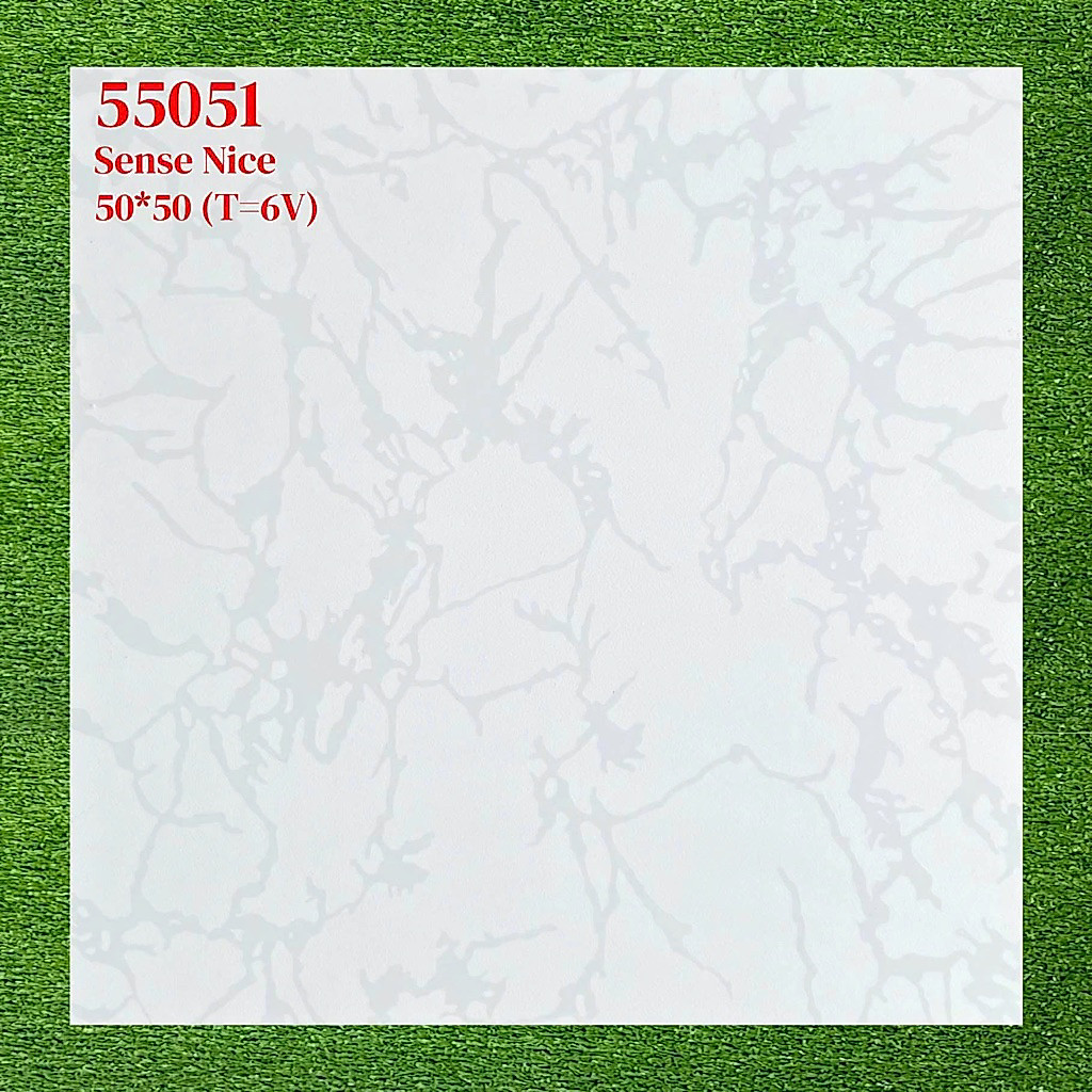 Combo 2m2 gạch men bóng 50x50 cao cấp