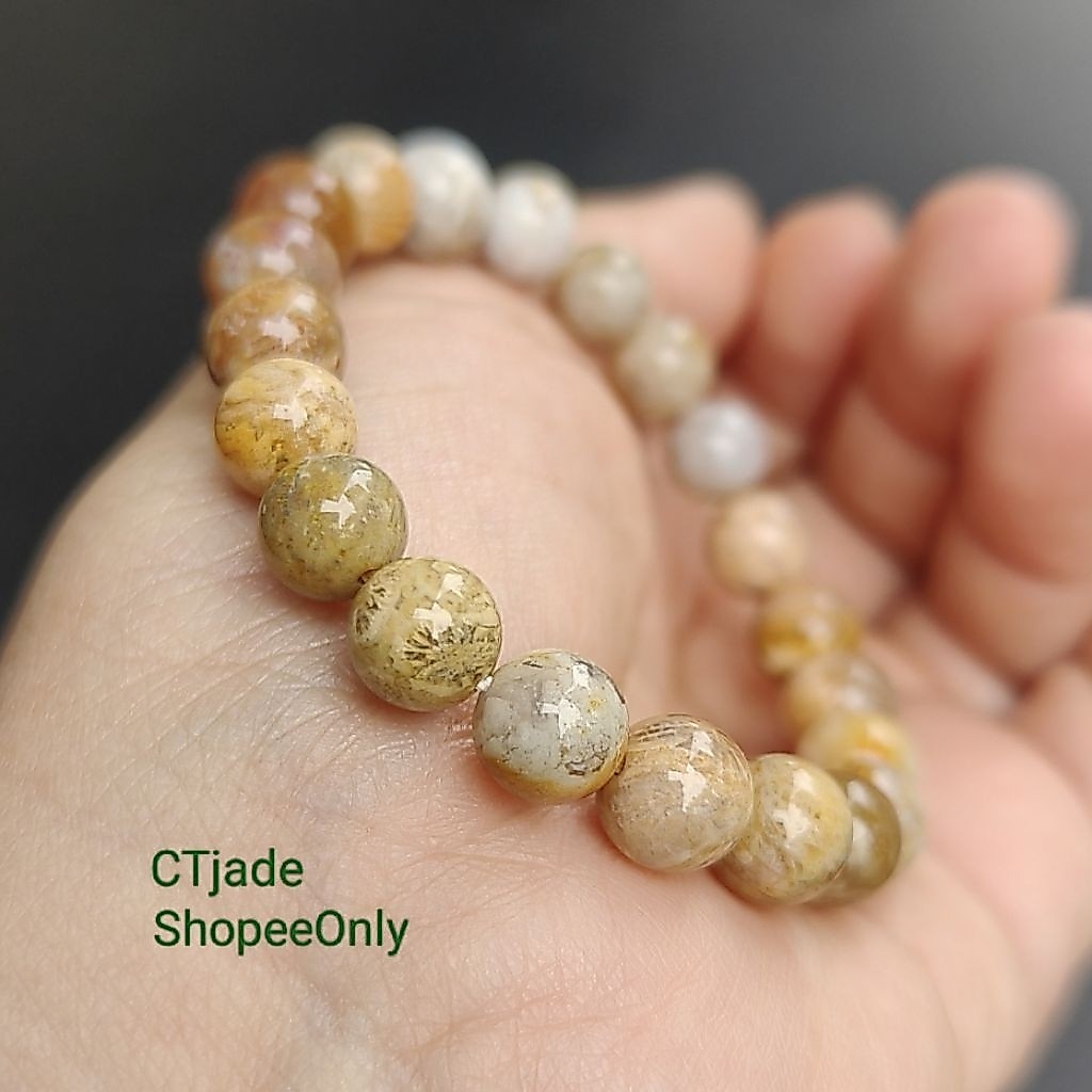 2605192 Fossil Coral Vòng tay đá hóa thạch san hô tự nhiên CTjade