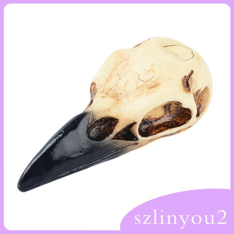 Trang trí đầu lâu Raven, Trang trí đầu lâu Raven, Trang trí, Dây chuyền Gothic, Nhựa, Mặt dây chuyền