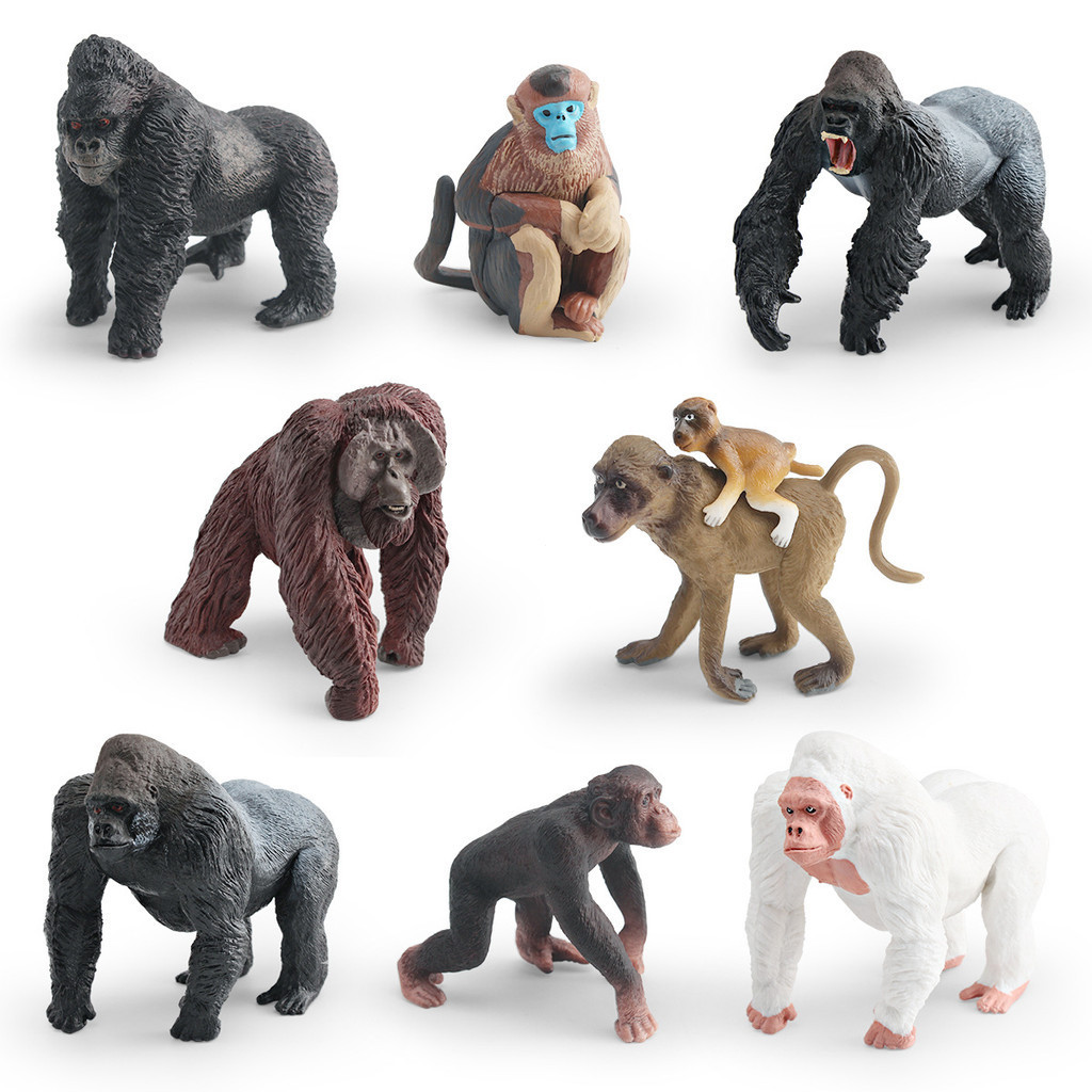 Trẻ Em Nhận Thức Mô Phỏng Khỉ Vàng Đầu Đỏ Gorilla Trắng Gorilla Silverback Gorilla Baboon Mô Hình Độ