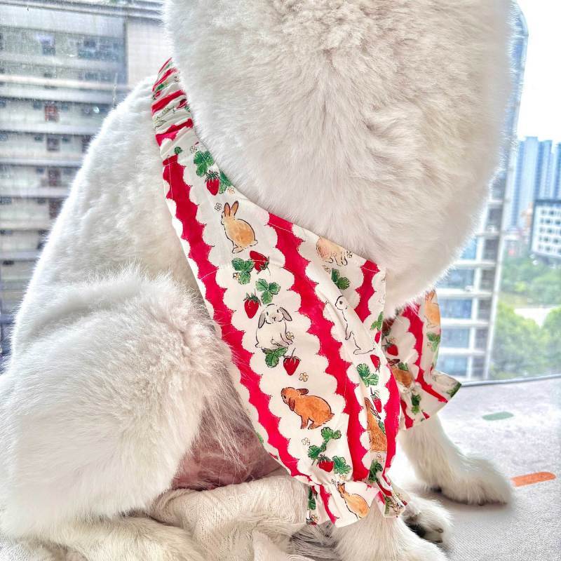 Pet Knee Pad Dog Joint Protection Oversleeve Medium Large Dog Golden Retriever Samoyed Leggings Four
