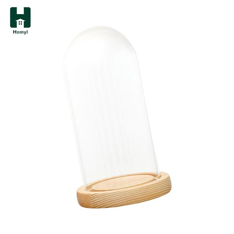 Hoyl Glass Cloche Dome Chống bụi với đế gỗ Cloche Bell Jar Display Case