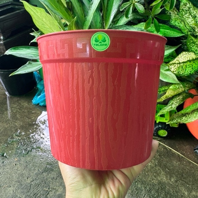 Chậu nhựa đỏ mỏng size 18x15 combo 5 cái - chậu nhựa giá rẻ