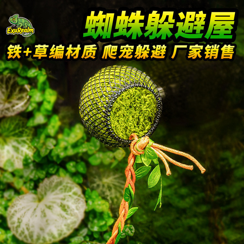T Leap Spider Tránh Acrylic Box Arboreal Gecko Small Gecko Tree Hole Magnet Climbing Tree Vine Small