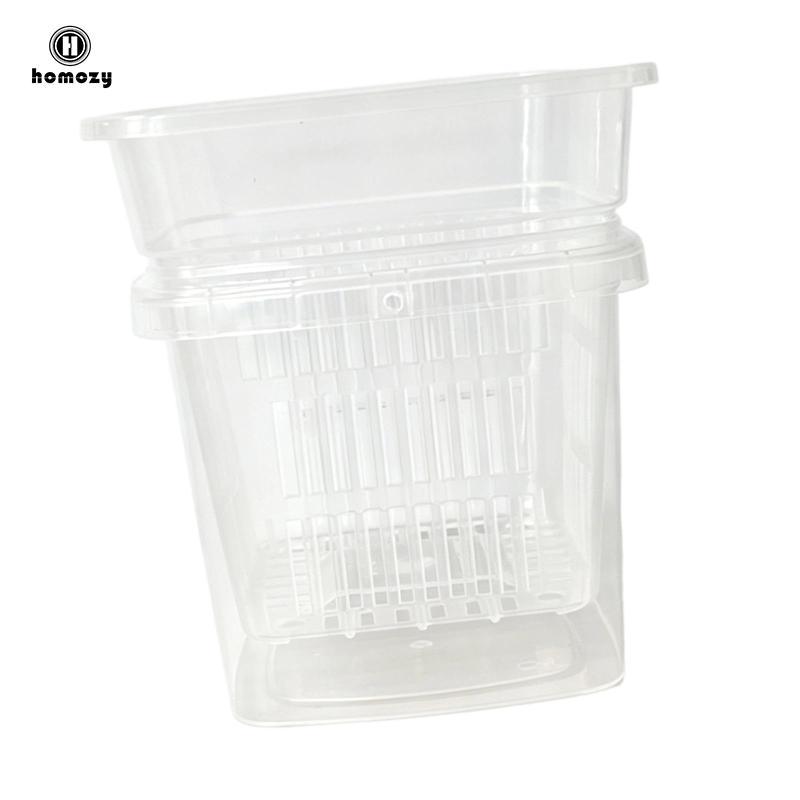 Chậu trồng lan ấm cúng với cấu trúc xốp Nồi có rãnh trong suốt cho hoa lan Nhà chậu hoa Phụ kiện thự