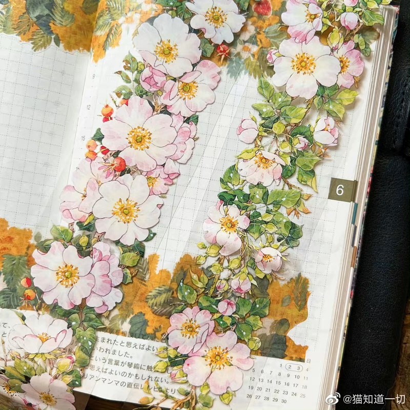 [Bao bì riêng biệt] Cat Knows Everything-All-Match Flowers at the Windows of Teenagers Fresh Handboo