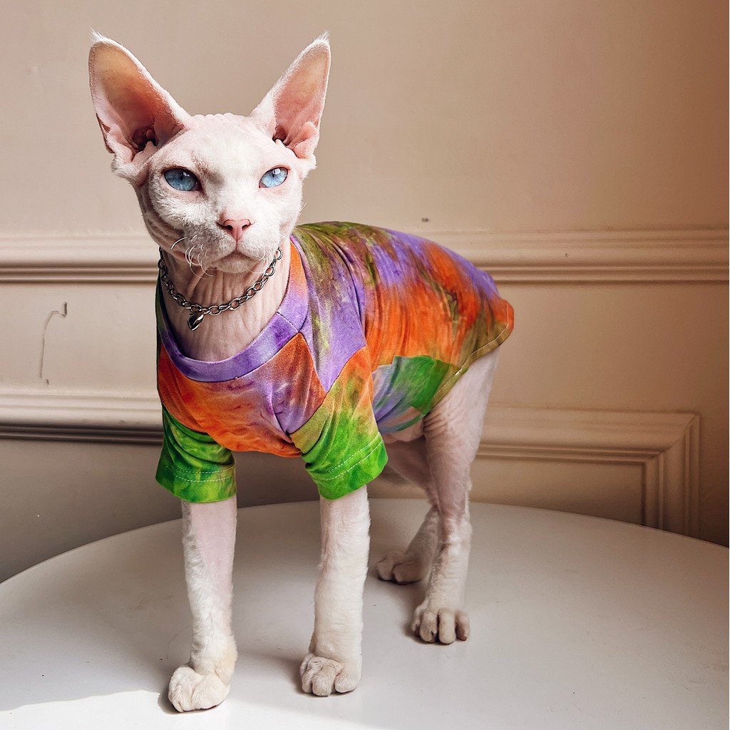 SPHYNX PLANET Quần áo mèo không lông Devince Finks Tie-Dye Mùa hè Thân thiện với da Điều hòa không k