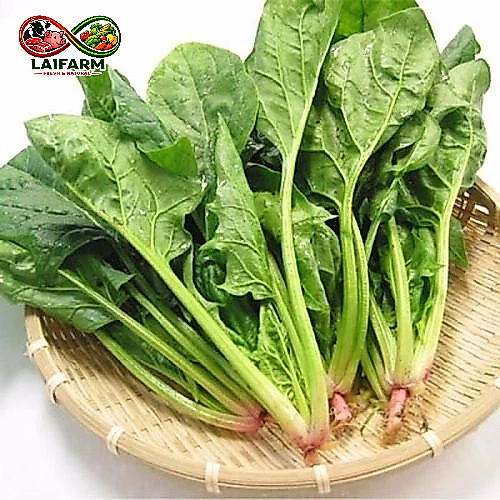 [Laifarm - Hỏa tốc HN] Rau cải bó xôi (Chân vịt) 1kg - Rau Củ Đà Lạt Deli