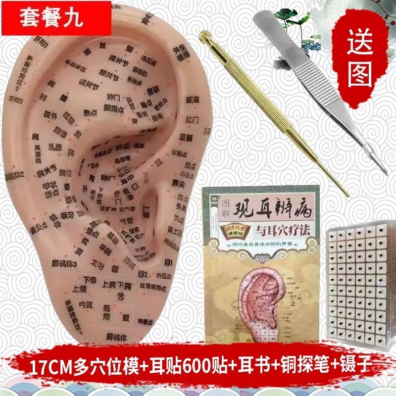 Wang Buliuxing Seed Acupoint Press Bean Sticker Press Ear Sticker Acupoint Model Acupoint Probe Pen 