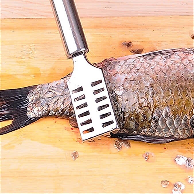 Dụng Cụ Đánh Vảy Cá Lưỡi Inox 100%