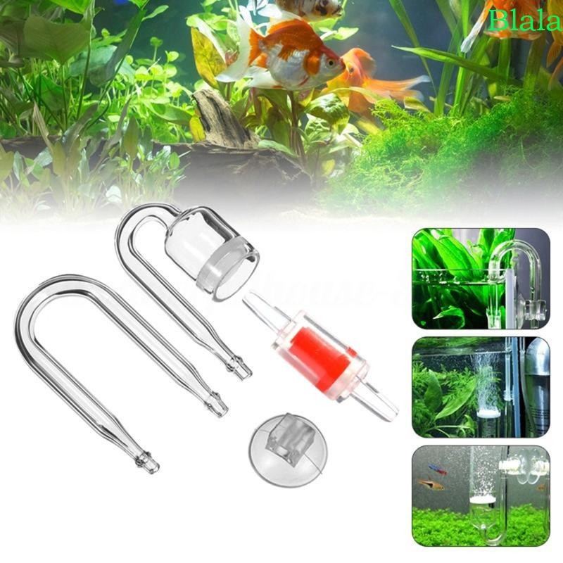 Bộ khuếch tán Blala CO2 4 chiếc cho Nano Kit Kính trong suốt Tăng độ bão hòa CO2