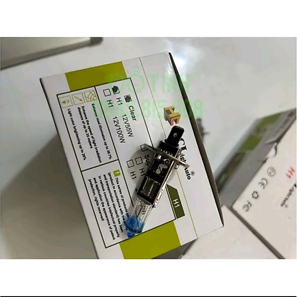 Bóng đèn Halogen con cú H1 hai loại 12V/ 24V