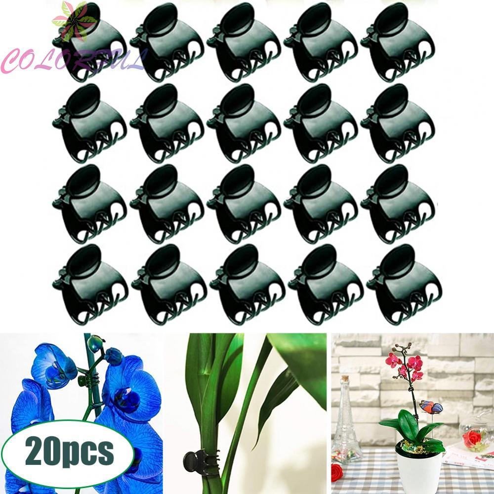 Plant Support Clip, Orchid Clip, Phalaenopsis Orchid Flower Tied Clamp -  Useful