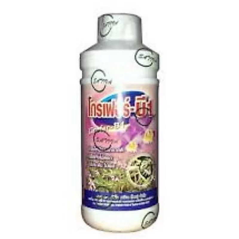 Phân bón lá cao cấp Vitamin B1 Grofer B1 - B1 thái hồng  chai 1000ml nhập khẩu Thái Lan