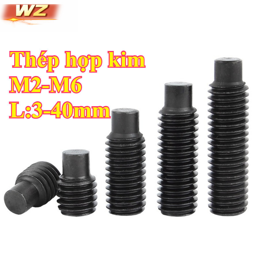 12.9 Lớp Đinh tán thép hợp kim M2 - M6, chiều dài 3 - 40mm, chất lượng cao, giá tốt (XD-VN)