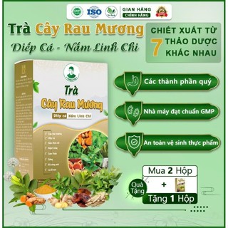 Trà Cây Rau Mương Diếp Cá Nấm Linh Chi nước trà tốt cho dạ dàyhp(30TÚI LỌC)/1HỘP