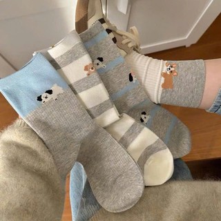  Set 5 Đôi Tất  Vớ Nữ Cổ Cao Màu Xanh Ghi Họa Tiết Cún Puppy Thời Trang Co Giãn Dễ Thương TC72 Muse 
