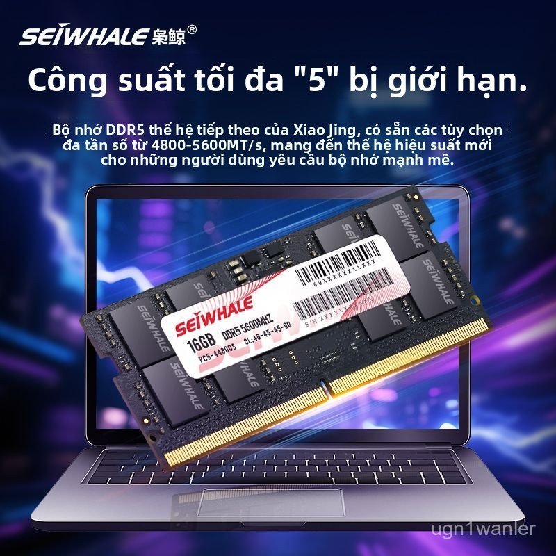 Ram laptop DDR5 16GB 32GB bus 5600 hỗ trợ hạ bus 4800 bộ nhớ máy tính xách tay nâng cấp mượt mà chín