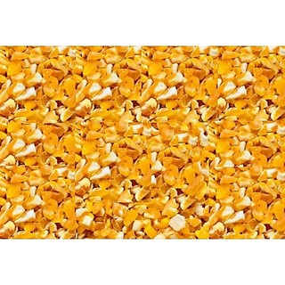 ( 3 kg ) Bắp bể dùng làm thức ăn cho gà, vịt, chim cảnh...