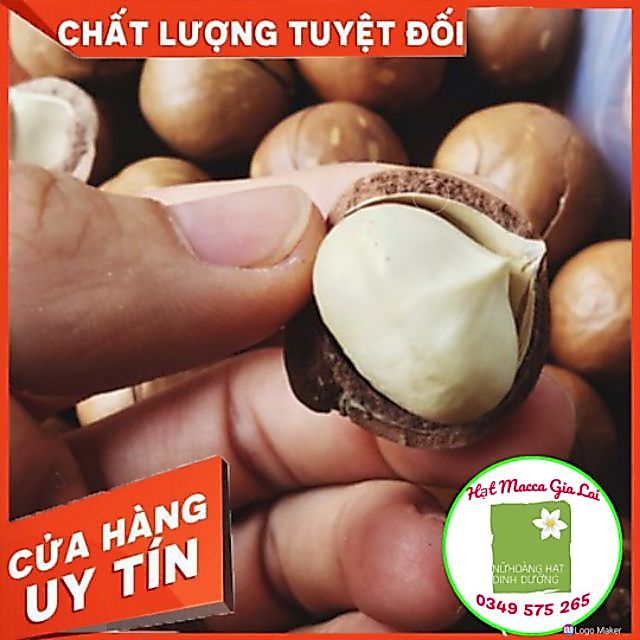 HẠT MACCA GIA LAI