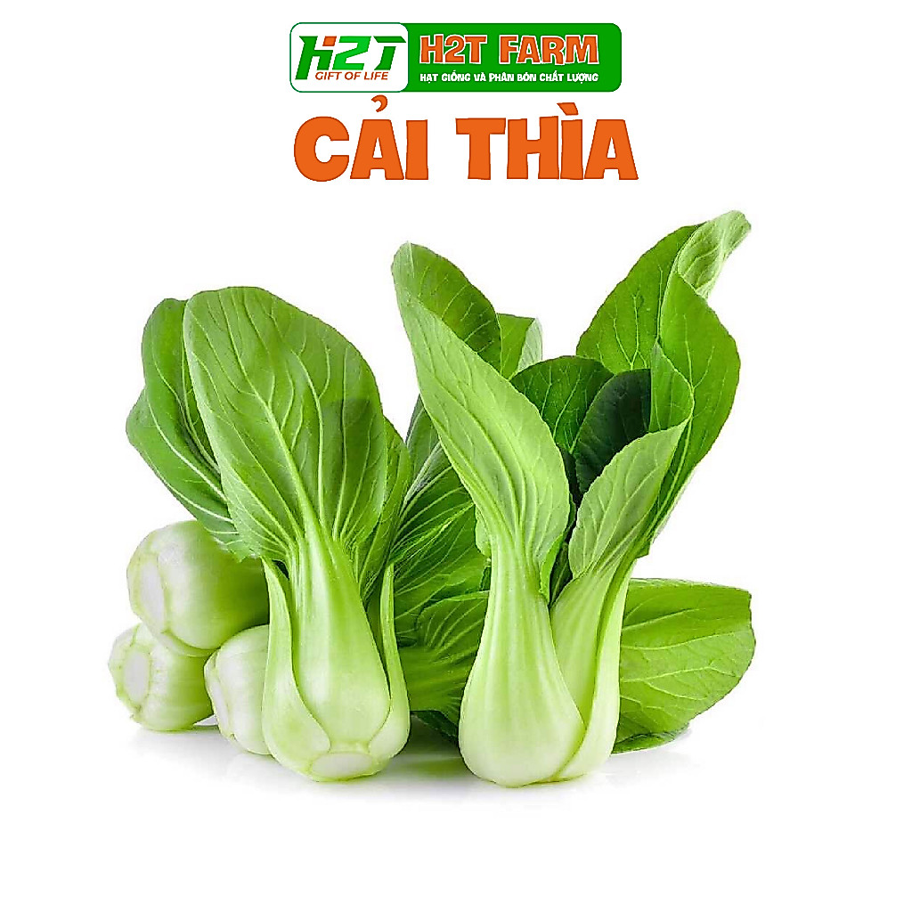 Hạt Giống Cải Thìa - h2t farm
