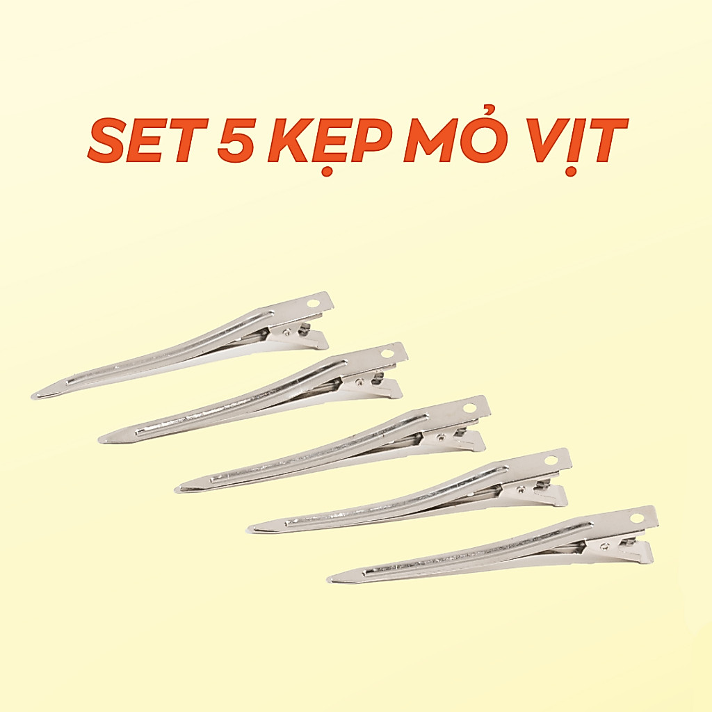 Set 5 kẹp mỏ vịt hỗ trợ tạo kiểu, phồng tóc Baehair