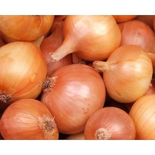 5kg Hành tây nguyên củ trắng, sạch, tươi mới