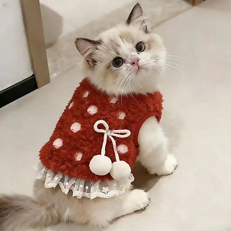 Áo vest đính ren chấm bi mùa đông cho mèo Ragdoll, Golden Retriever và Blue Tabby, áo khoác lông cừu