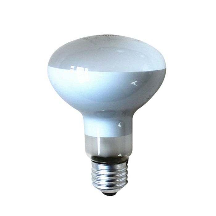 Bóng Đèn Máy Bắp Rang 40W Bóng Đèn Cách Nhiệt Chuyên Dụng Làm Nóng Giữ Sắc Nét 40W Chống Cháy Nổ Chi