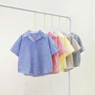  Áo Sơ Mi Bigsize Nữ Kẻ Sọc Form Rộng Tay Ngắn Dáng Croptop Trẻ Trung Năng Động A297 