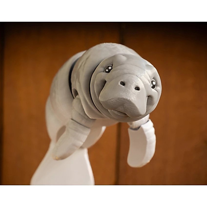 Đồ chơi Cuero Bò biển Dugong Manatee Articulation Flexi Nhân vật động vật biển độc đáo