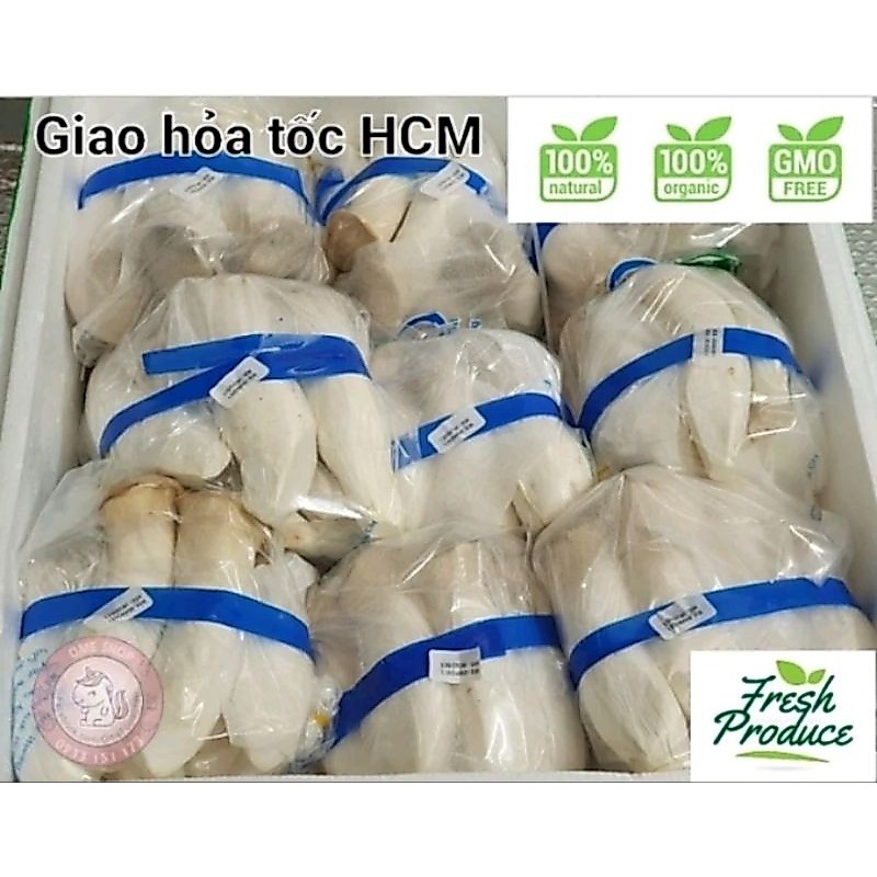 🔥 5️⃣ kg Nấm Đùi Gà Lớn | King Oyster Mushroom (có giao hỏa tốc Hồ Chí Minh)