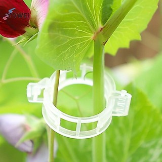 YOWEI 100 kẹp nhựa trong suốt cố định cây leo, hỗ trợ cà chua, nho, trellis