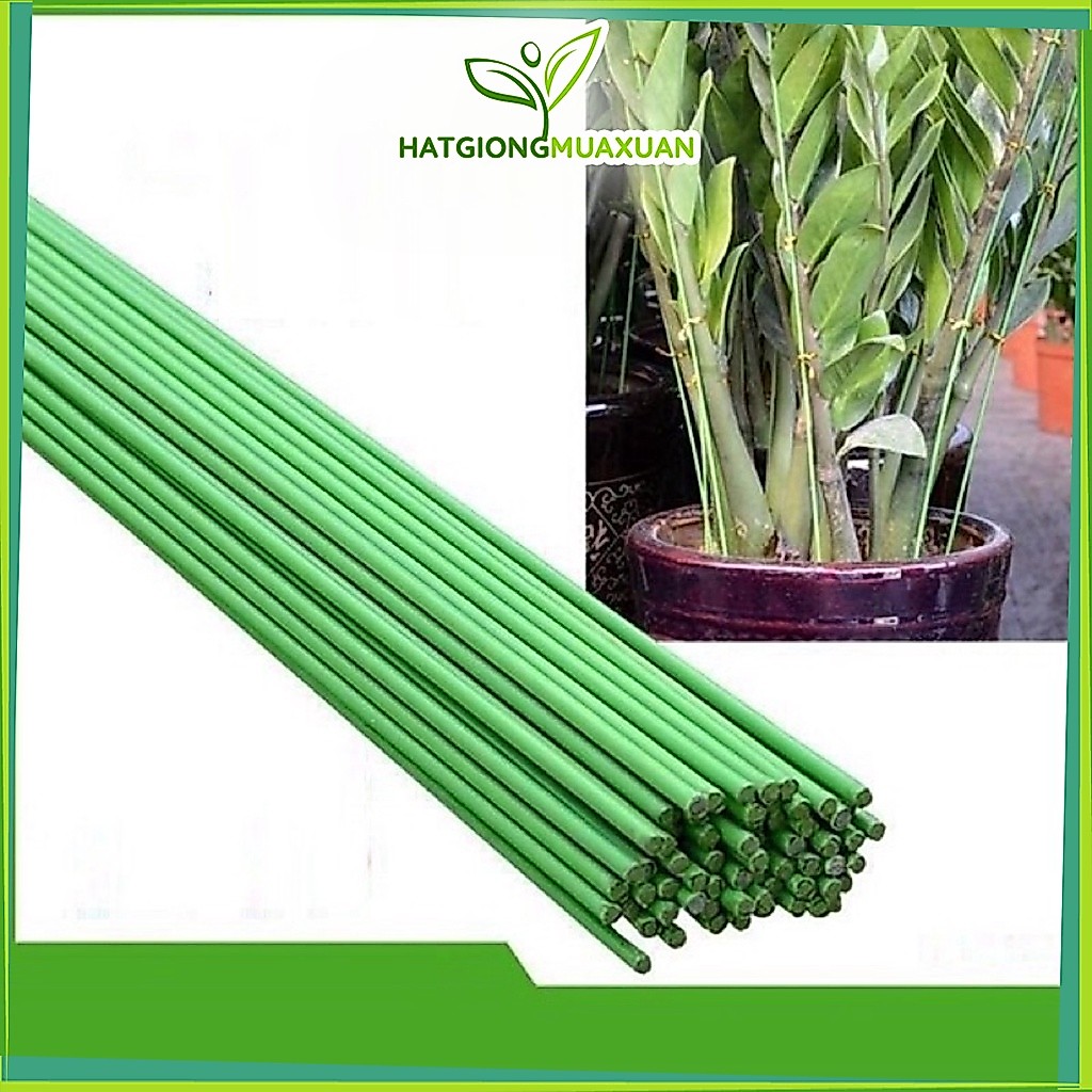 Set 10 que (ty) cắm lan bọc nhựa xanh dài 80cm-100cm-120cm